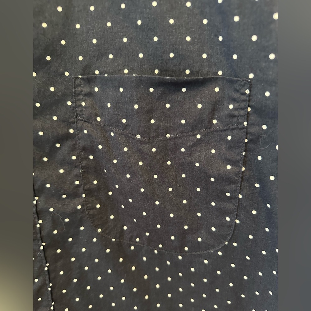 J. Crew Blue and White Polka dot Casual Button Down Shirt - Picture 6 of 6